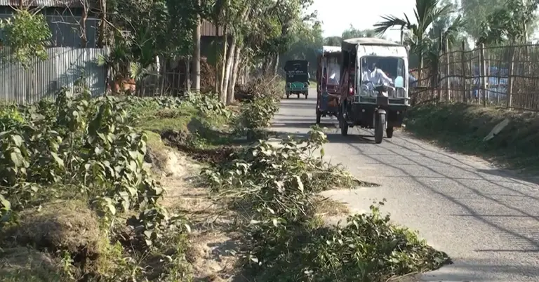 শেরপুরের সড়ক দিয়ে সিএনজি চলছে